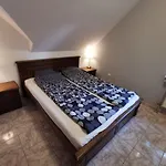 Silver Zamárdi