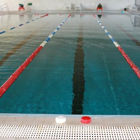 Silver 4* زاماردي