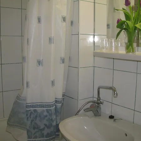 Silver زاماردي