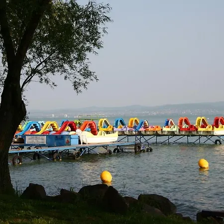 Silver 4* زاماردي