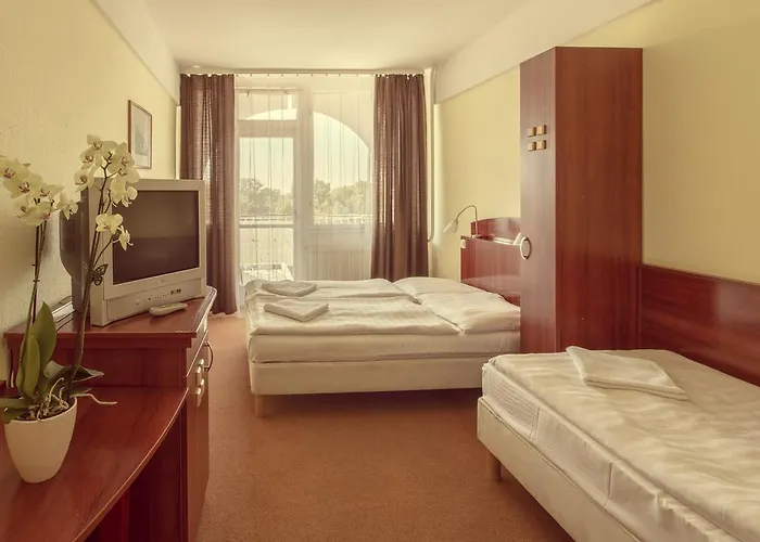 Πανσιόν Silver Zamárdi